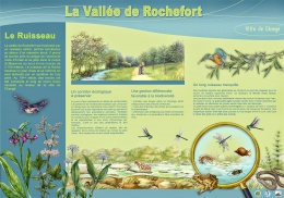 Rochefort Ruisseau-modifi