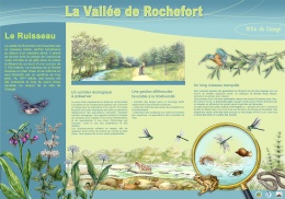 Rochefort Ruisseau