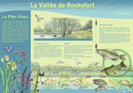 Rochefort Plan d'eau