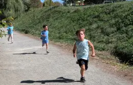23