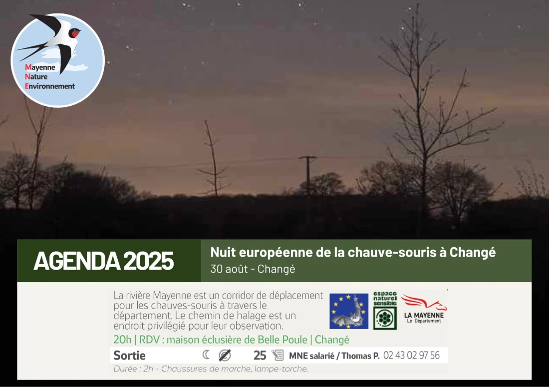 Nuit européenne de la chauve-souris à Changé