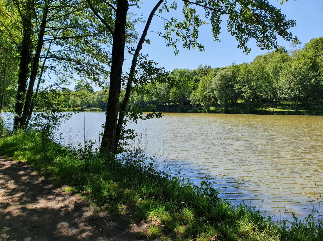 Plan d'eau de Rochefort - Concertation