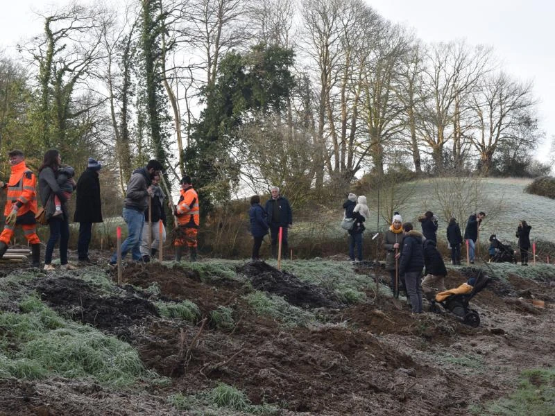 Une Naissance, Un arbre 2025
