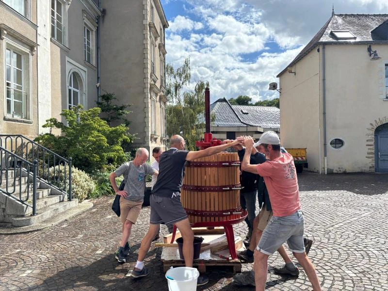 Vendanges 2026