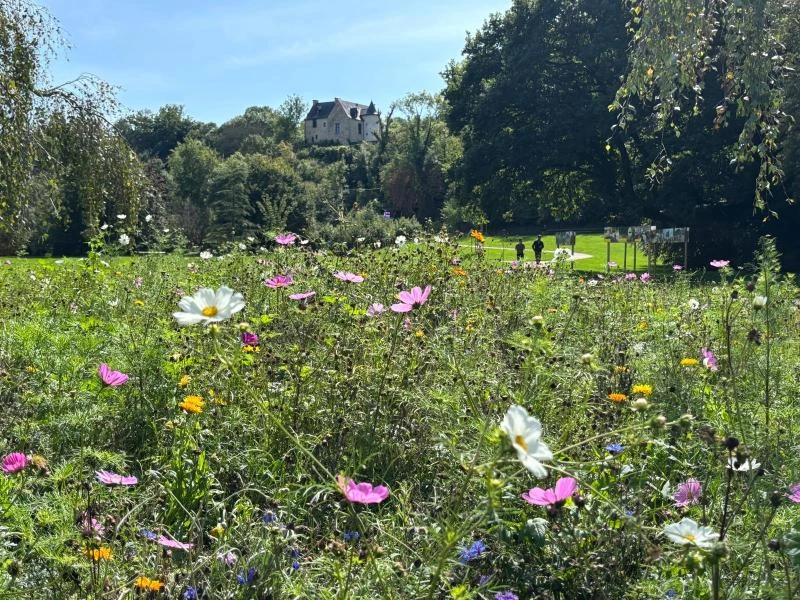 Changé conserve ses 4 fleurs ! 