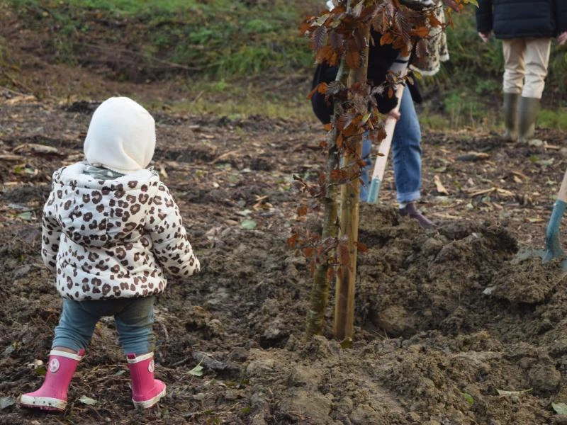 Une Naissance, Un Arbre : les inscriptions sont ouvertes