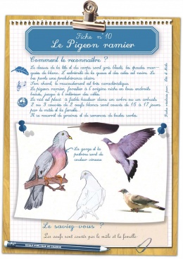 oiseaux_Page_12